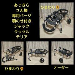 ジャックラッセルテリア4輪 リハビリ 食事補助 犬用車椅子 介護