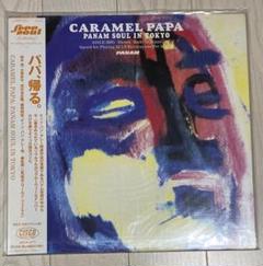 レコード盤/1996年発売/キャラメルママYMO 細野晴臣
