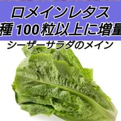 シーザーサラダ レタス ロメインレタスの中古 未使用品 メルカリ