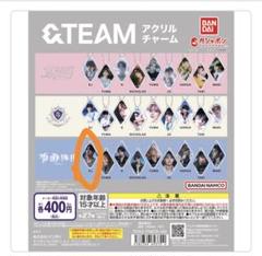 &TEAM エンティーム ガチャガチャ アクリルチャーム EJ ウィジュ