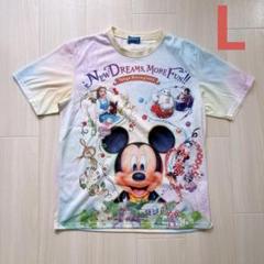 美品　東京ディズニーランド　ニューファンタジーランド　ニューエリア　Tシャツ　L