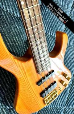 【Aria Pro II Rhino(ライノ) 送料込みプライス❗️ AriaCompany - レア ARIA PROⅡ Rhino BASS アリアプロ2 ライノ