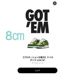 ベビーダンク LOW 8㎝