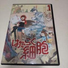 2025年最新】はたらく細胞 dvdの人気アイテム - メルカリ