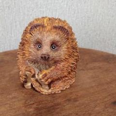 ハリネズミ m18940658812_1.jpg?1634423233