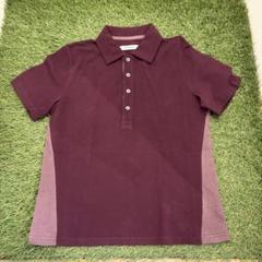 新品safarispot ポロシャツ