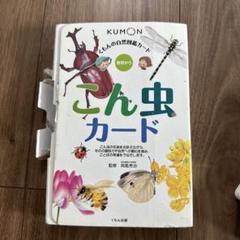 くもんカード9点set 花と木、こん虫、生活道具、こよみ、くだものやさい等 くだものやさいカード〈1集〉 (くもんの生活図鑑カード) | 飯塚