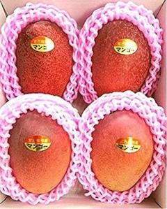 宮古島マンゴー秀品1kg