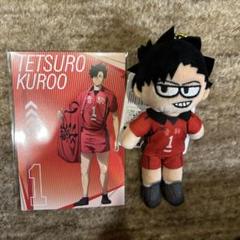 Amazon.co.jp: ハイキュープラザ ジロリ ぬいぐるみ 木兎光太郎