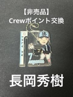 ヤクルト 長岡秀樹 クッション キャップ型ポーチ mini色紙 セット 2025年最新】長岡秀樹の人気アイテム - メルカリ