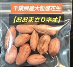 ニコニコマーク様　おおまさりネオ　1000粒 2025年最新】おおまさりネオの人気アイテム - メルカリ