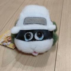 びゅんびゅん!モルカー