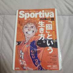 ハイキュー!! ショーセツバン!! Sportiva アニメイト 日向翔陽