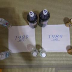 国実百合　1988年〜1992年 大量　切り抜き　ファイル　2冊　117P 国実百合 1988年〜1992年 大量 切り抜き ファイル 2冊 117P アイドル