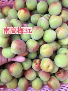 南高梅　完3-4L5キロ　のえるだいすき 南高梅 完3-4L5キロ のえるだいすき 完熟南高梅 キズあり（
