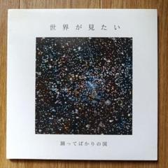 【中古CD】踊ってばかりの国「世界が見たい」下津光史のサムネイル