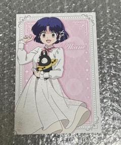 らんま1/2】ぬいぐるみといっしょTSUTAYA ポストカード 非売品