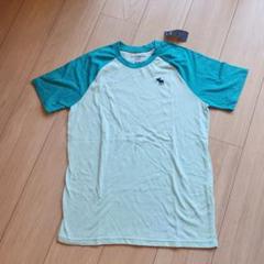 新品未使用タグ付き　abercrombie kids Tシャツ 15/16