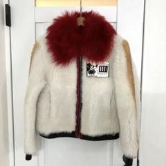 coachミッキー刺繍ファーコート coachミッキー刺繍ファーコート