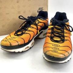 NIKE AIR MAX マップラ ナイキ エアーマックスプラス 30.0cm