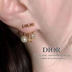 クリスチャンディオール Dior シルバー リボンピアス 片方 2025年最新】dior ピアス 片耳の人気アイテム - メルカリ