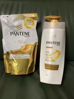 P&G パンテーン EXダメージCD 480gと詰め替え300gのセット