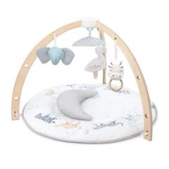 [極美品]aden+anais（エイデンアンドアネイ） ベビージム