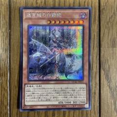 迷宮城の白銀姫　ラスト1枚 迷宮城の白銀姫(1人)【スーパー】{QCAC-JP011}《モンスター》