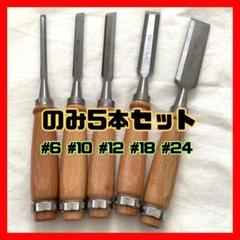 のみ　5本セット 彫刻 ノミ 鑿 DIY 木彫り 刃物 平刃 木工 彫刻刀
