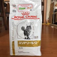 ロイヤルカナンphコントロール猫用ユリナリーS/Oライト/4kg療法食