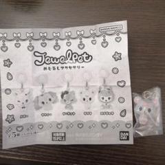 【新品未開封】ジュエルペット めじるしアクセサリー ラブラ