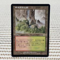 MTG 樹木茂る山麓　ロシア語　2枚セット 樹木茂る山麓 拡張アート MTG マジック・ザ・ギャザリング