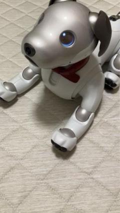 【値下げ】アイボの首輪  メタリックグリーン 2025年最新】AIBO 首輪の人気アイテム - メルカリ