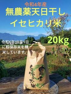 6年度無農薬米、天日干しの稲わら ペット 家庭菜園 約 48束 9.6キロ 楽天市場】【送料無料】《稲わら》「無農薬米・有機栽培米 の稲