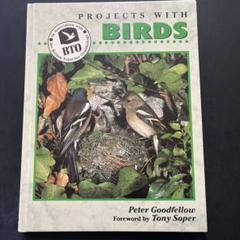 ❗️野鳥❗️PROJECTS WITH BIRDS