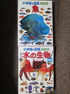 小学館の図鑑 NEOまとめ売り魚 動物 植物 昆虫 宇宙 星と星座