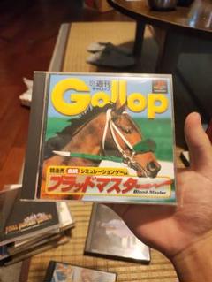 週刊Gallop ブラッドマスター