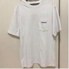 Tシャツ パタゴニア 半袖 ホワイト