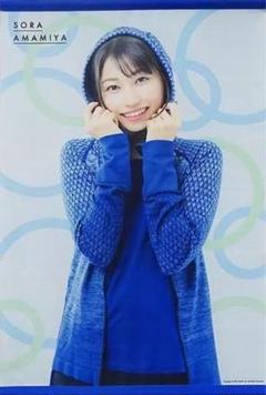 【未開封】雨宮天 タペストリー 雨宮天 天10展限定 撮り下ろしB2タペストリー 全2種セット W