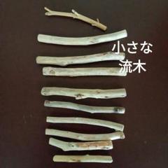 流木　10本セット No.30