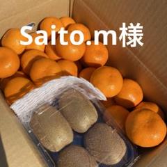 マーヤ　和田果樹園の果物　10kg マーヤ様専用 和田果樹園の果物 10kg
