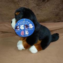 REGALO 犬　ぬいぐるみ　中古品 REGALO 犬 ぬいぐるみ 中古品 - メルカリ
