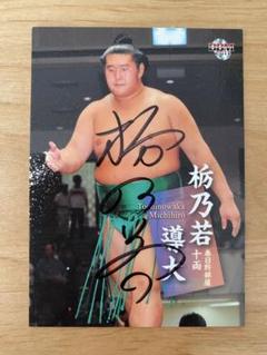 大相撲カード　貴乃花　貴花田　直筆　サイン　カード　ぐるなび　イケおじ 大相撲カード 貴乃花 貴花田 直筆 サイン カード ぐるなび イケ
