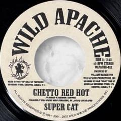 激レア　レゲエ　レコード　JUNIOR CAT／EDEN Princess Goldie & Junior Rodigan - Love Me Lady / Pum Up The