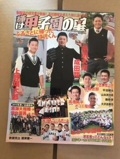 輝け甲子園の星　2015年　11月号のサムネイル