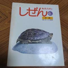 壺、甕、銭甕、古い甕 壺、甕、銭甕、古い甕 美術品・アンティーク・コレクション
