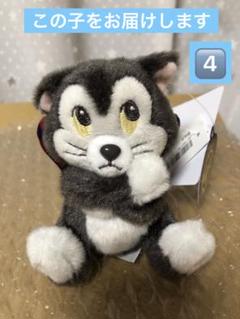 フィガロ マスコット キーホルダー 2個セット ディズニー ミニー シー 0401160004264.jpg