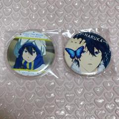 Free! ベストシーン Butterfly 缶バッジ 遙 - メルカリ