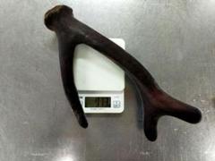蝦夷鹿　鹿茸　袋角　471g 蝦夷鹿 鹿茸 袋角 471g 鹿茸 ろくじょう