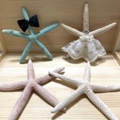 スターフィッシュ